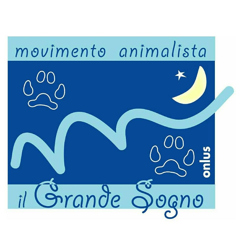 Il Grande Sogno